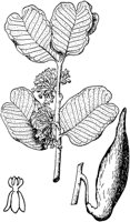 PLF243B.TIF