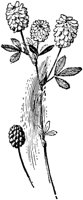PLF241A.TIF