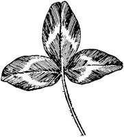 PLF239F.TIF