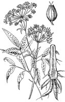 PLF238A.TIF