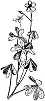 PLF237D.TIF
