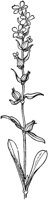 PLF236C.TIF