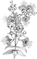 PLF236A.TIF