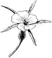 PLF235G.TIF