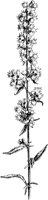 PLF235D.TIF