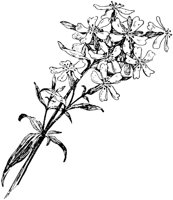 PLF235B.TIF