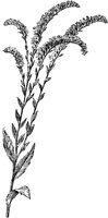 PLF235A.TIF