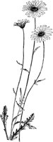 PLF234B.TIF