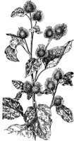 PLF234A.TIF