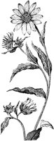 PLF233F.TIF