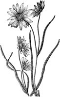 PLF233D.TIF