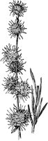 PLF233A.TIF