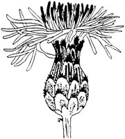 PLF232D.TIF