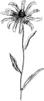 PLF232A.TIF