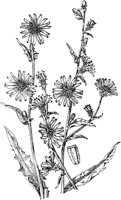 PLF230G.TIF