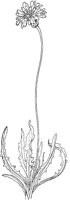 PLF230B.TIF