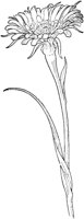 PLF228B.TIF