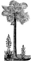 PLF227D.TIF