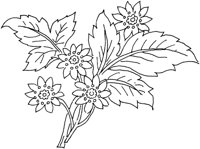 FDM122E.TIF