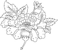 FDM122A.TIF