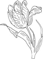 FDM119A.TIF