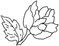 FDM113J.TIF