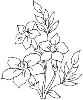 FDM113I.TIF