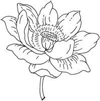 FDM111D.TIF