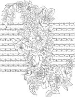 FDM100A.TIF