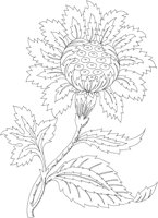 FDM095A.TIF