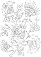 FDM093A.TIF