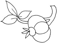 FDM083H.TIF