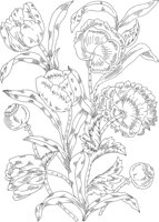 FDM079A.TIF