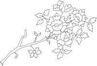 FDM069C.TIF
