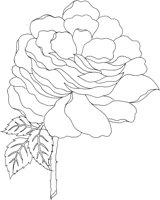 FDM058B.TIF