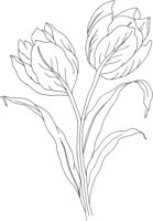 FDM048B.TIF