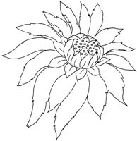 FDM023E.TIF