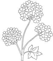 FDM023B.TIF