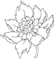 FDM023A.TIF