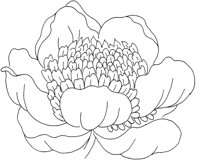 FDM016B.TIF