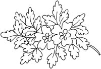 FDM009F.TIF