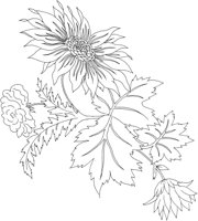 FDM009C.TIF
