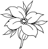 FDM009B.TIF