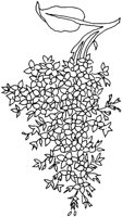 FDM001A.TIF