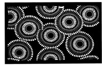 TJP114A.TIF
