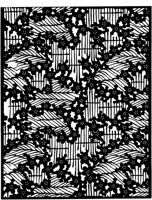 TJP113A.TIF
