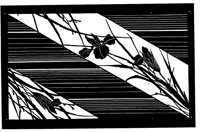 TJP111B.TIF
