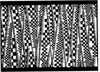 TJP109B.TIF