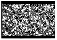 TJP108B.TIF