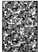 TJP106C.TIF